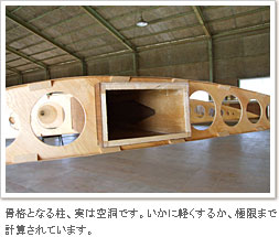 骨格